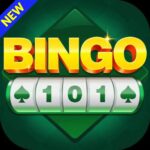 Bingo 101